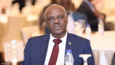 من هو وزير المعادن السوداني