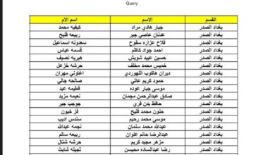 تحميل كشوفات اسماء المشمولين الرعاية الاجتماعية فى العراق 2023