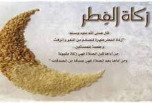 ترند العالم تجب زكاة الفطر على الصائم عندما تجب زكاة الفطر على الصائم عندما