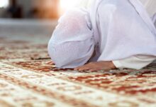 ترند العالم صلاة التهجد كم ركعة إسلام ويب صلاة التهجد كم ركعة إسلام ويب