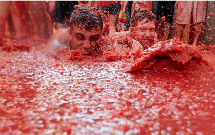 في اي بلد يقام مهرجان الطماطم