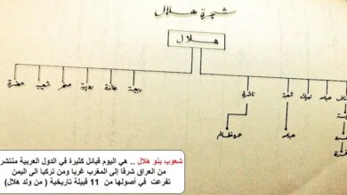 ترند العالم قبيلة بني هلال وش يرجعون قبيلة بني هلال وش يرجعون