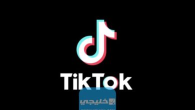 f0ecad36c1 50170834 tiktok 1024x640 1