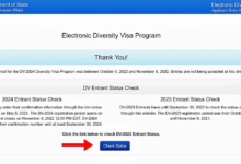 how to check dv lottery 2023 2024 results