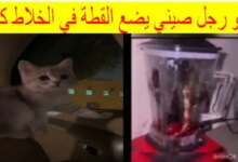 مقطع فيديو القطه في الخلاط the cat in the blender