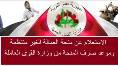 الاستعلام عن منحة العمالة الغير منتظمة 2023