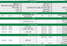 رابط استمارة فحص اللياقة نظام نور السعودية pdf