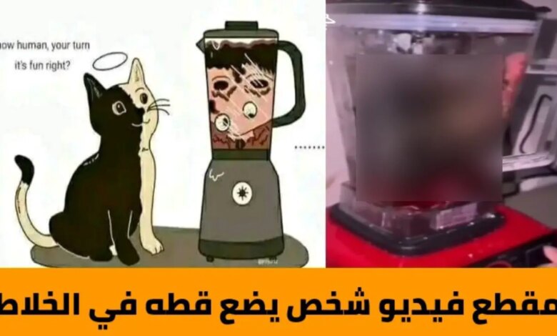 فيديو صادم لشخص يضع قطة في خلاط