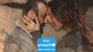 قصة مسلسل وأخيرا بطولة قصي خولي ونادين نجيم