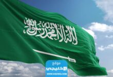 كم متوسط دخل الفرد في السعودية 2023