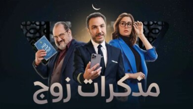 مسلسل مذكرات زوج للفنان طارق لطفي