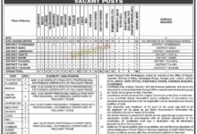 Sindh Police Jobs 2023 Application Form
