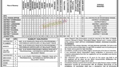 Sindh Police Jobs 2023 Application Form