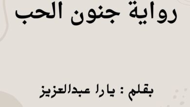 رواية جنون الحب الفصل الحادي عشر 11 بقلم يارا عبدالعزيز