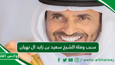 سبب وفاة الشيخ سعيد بن زايد ال نهيان ممثل حاكم أبو ظبي