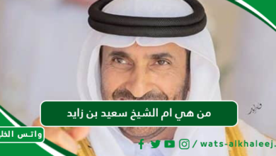 من هي ام الشيخ سعيد بن زايد آل نهيان ويكيبيديا السيرة الذاتية