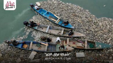 نفوق الأسماك في العراق الأسباب والمعالجات