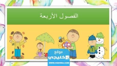 تحميل نماذج الدليل الإجرائي لرياض الأطفال Pdf