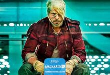 "حمل الآن".. رابط تحميل فيلم جوان Jawan 2023 مترجم كامل (فيلم شاروخان) وي سيما ايجي بيست