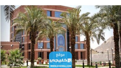 رابط تقديم ماجستير جامعة طيبة في السعودية Taibahu.edu.sa