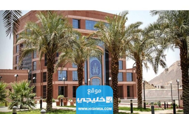 رابط تقديم ماجستير جامعة طيبة في السعودية Taibahuedusa