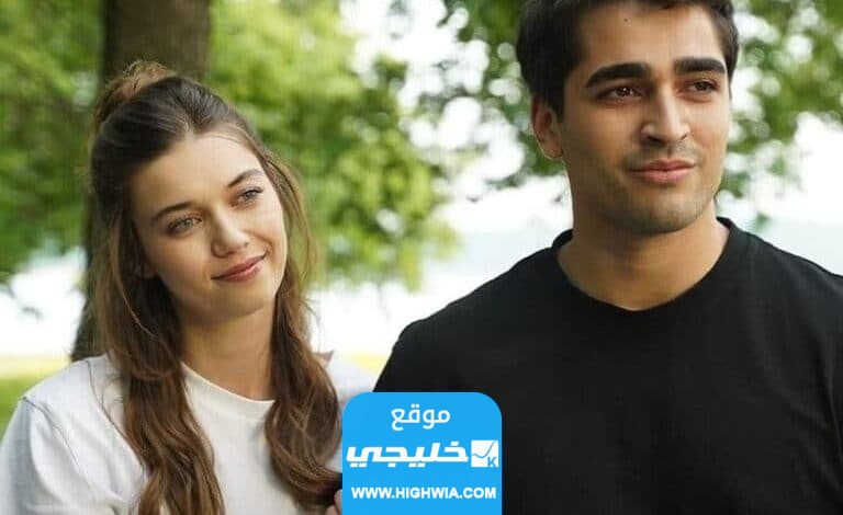 رابط مشاهدة مسلسل طائر الرفراف الحلقة 39 مترجمة كاملة بدقة