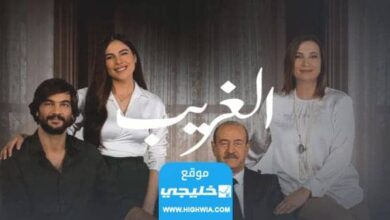 قصة مسلسل الغريب بطولة بسام كوسا بالتفصيل