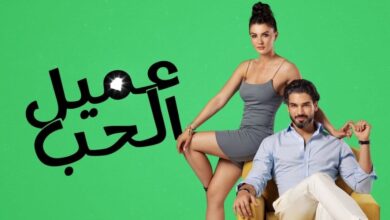 قصة وأبطال مسلسل عميل الحب ويكيبيديا