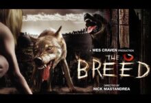 مشاهدة فيلم the breed مترجم السلالة 2006 كامل hd الكلاب المتوحشة ايجي بست