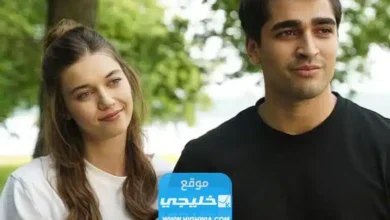 مشاهدة مسلسل طائر الرفراف “فريد” الحلقة 38 مترجمة كاملة بدقة عالية