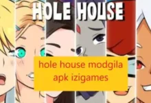 hole house modgila apk izigames