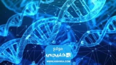 كم مدة ظهور تحليل Dna في السعودية 2023/1445