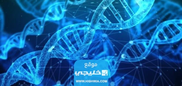 كم مدة ظهور تحليل Dna في السعودية 2023/1445