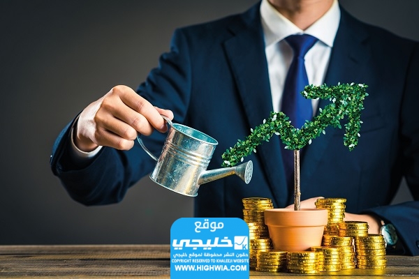 استثمارات مبتكرة في عام 2024: شركة ليرات تفتتح آفاقاً جديدة للمستثمرين