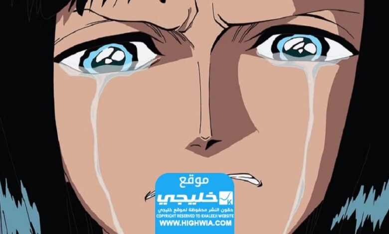 تسريبات مانجا ون بيس الفصل 1105 ون بيس