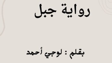 رواية جبل الفصل الثاني والعشرون 22 بقلم لوجي احمد