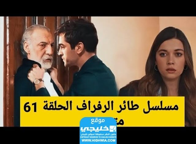 خطبة سيرين فاكين وخروج أورهان من السجن.. شاهد مسلسل الرفراف الحلقة 61 مترجمة