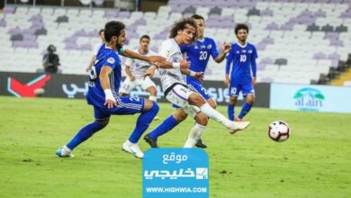 طلب تذاكر مباراة العين والناصر في الدوري الإماراتي 2023 الرابط + الخطوات