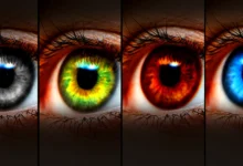 كيف يكشف لون العين أسرار شخصية الإنسان؟