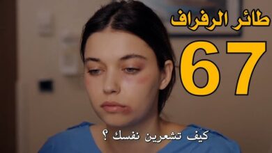 مشاهدة مسلسل طائر الرفراف الحلقة 67 مترجمة