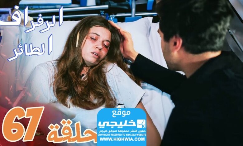 مشاهدة مسلسل الرفراف الحلقة 67 مترجمة