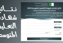 الآن.. رابط كشف نتائج البيام bem onec dz الجزائر 2024 سحب كشف نقاط نتائج البيام