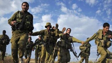 الدبابير تنتقم من الجيش الإسرائيلي