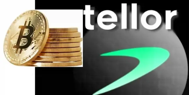 القيمة السوقية لـ Tellor (TRB) ترتفع بأكثر من 70٪