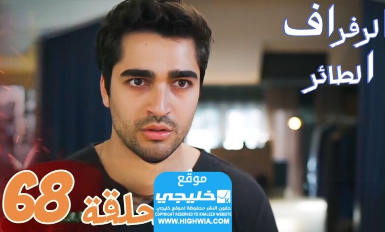 مشاهدة الحلقة 68 من مسلسل الرفراف مترجمة "قصة حبي + سيما"