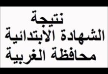 موعد ظهور نتيجة الصف السادس الابتدائي محافظة الغربية الترم الثاني 2024