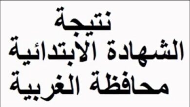 موعد ظهور نتيجة الصف السادس الابتدائي محافظة الغربية الترم الثاني 2024