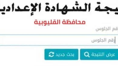 “ألف مبروووك”.. نتيجه الشهادة الإعداديه القليوبيه 2024 الترم الثاني بالاسم ورقم الجلوس عبر موقع البوابة الالكترونية