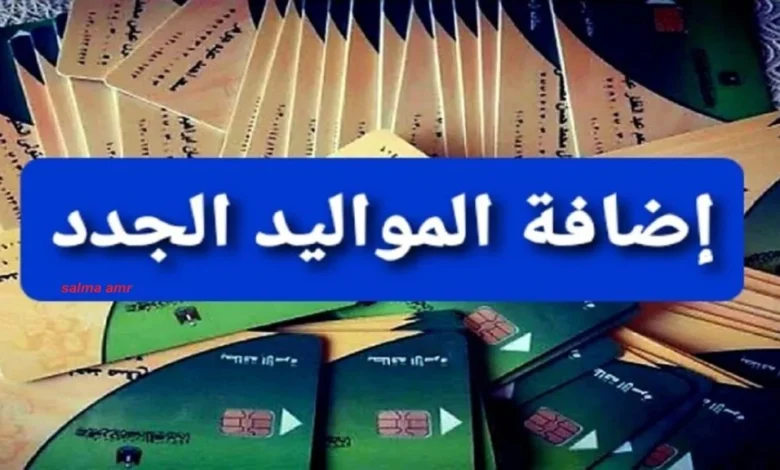 إضافة المواليد الجدد على بطاقة التموين 2024 بالرقم القومي عبر موقع مصر الرقمية