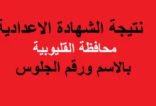 استعلم من هنا.. رابط استخراج نتائج الشهادة الإعدادية محافظة القليوبيه 2024 بالاسم ورقم الجلوس